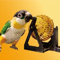 “使い魔”インコの「ルーレット」