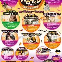 アニマルハロウィン2020～動物たちの魔法～