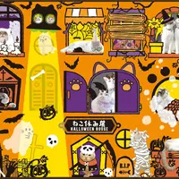 「ねこ休み展 in 大阪」ハロウィンイメージ
