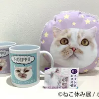 (c)ねこ休み展／ホイ主