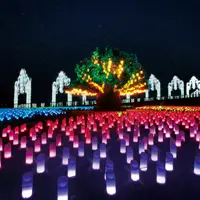 ランタンイルミネーション「光の草原」