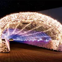 東京メガイルミ