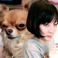 添田奈那（ペインター）