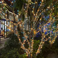 江戸桜通り・本町通りイルミネーション ※今年のキーカラーのイメージ
