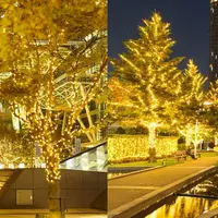 昨年の様子 イメージ