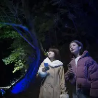 アドベンチャーウォーク