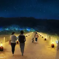 アドベンチャーウォーク