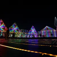 東京ドイツ村イルミネーション
