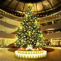 2020年クリスマスツリー イメージ