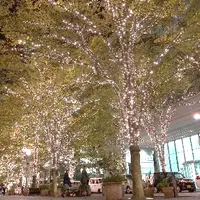 「丸の内イルミネーション」過去開催時の様子 イメージ