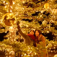 軽井沢星野エリアのクリスマス 2020 イメージ