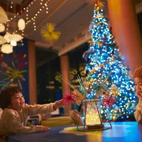 花火クリスマス イメージ
