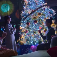 花火クリスマス イメージ