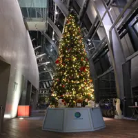 アクアマリンツリー イメージ