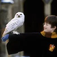 映画「ハリー・ポッターと賢者の石」