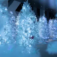 天空の白い森 イメージ