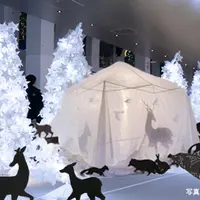 星空につつまれる Reserved seat イメージ