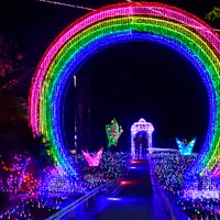 虹、折り鶴 イメージ