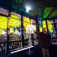 自分の端末を使用してタンポポにかざすと・・？