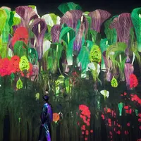 増殖する無量の生命（12月の花：テンナンショウの実）