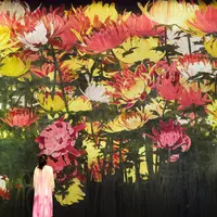 増殖する無量の生命（1月の花：寒菊）