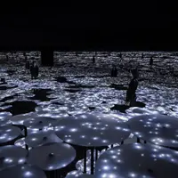 地形の記憶