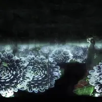 積層された空間に咲く花々（12月の花：菊）
