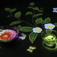茶の木