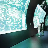クラゲ水槽（冬） ※イメージ