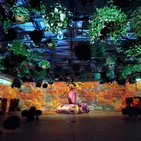 花とデジタルのアートショー～色づく紅葉と冬の花景色～