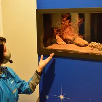 深海生物トーク イメージ
