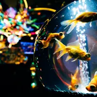 エントランス 水の惑星への旅