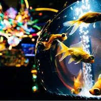エントランス 水の惑星への旅
