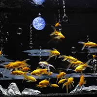 ワープゾーン・宇宙船