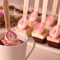 いちごにキスするチョコスプーン バーチャミ イメージ