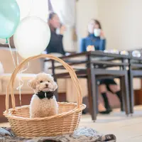 ペット同伴可能 イメージ