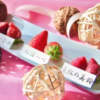 軽井沢で育ったいちご３品種を食べ比べ【ストロベリーテイスティング】 イメージ