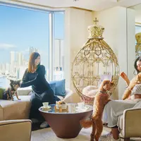 ドッグフレンドリーフロアには専用のラウンジがあり、愛犬と一緒に寛げるコミュニケーションの場所として利用できる