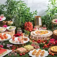 Sheraton Sweets Buffet 「Very Very Berry」 イメージ