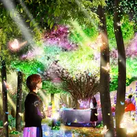 森のファンタジアカフェ