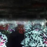 積層された空間に咲く花々（芍薬） イメージ