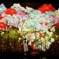 増殖する無量の生命（4月・牡丹） イメージ