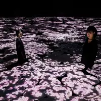 地形の記憶（桜） イメージ