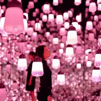 呼応するランプの森 – ワンストローク、桜 イメージ