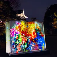 アーティスト村松亮太郎×写真家レスリー・キー『NAKED BIG BOOK』 イメージ