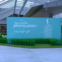 ブルックラディ The Pop-Up