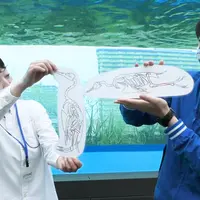 おうちで学ぶ！ペンギン講座 イメージ
