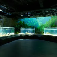 多摩川ゾーン