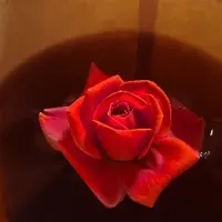 ローズティー