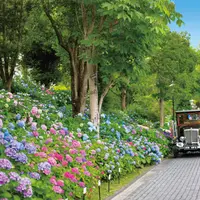 あじさい祭 イメージ